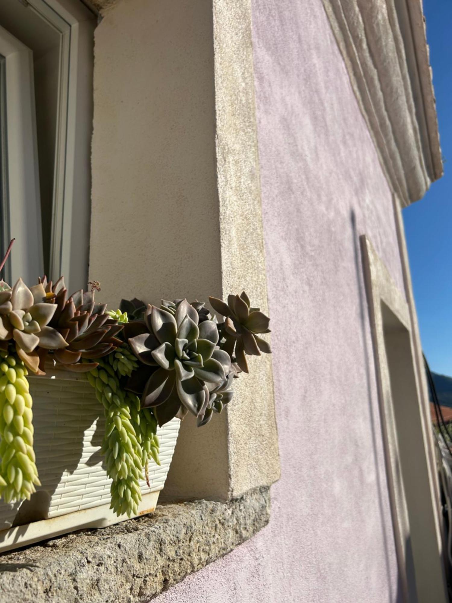B&B Casa Camilory San Lucido Dış mekan fotoğraf